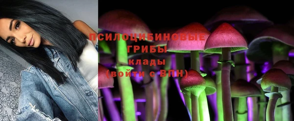 spice Майский