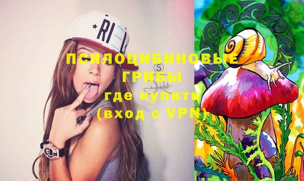 МДПВ Магас