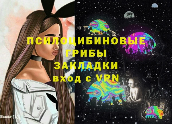 МДПВ Магас