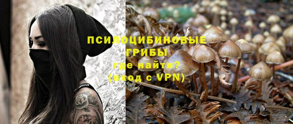 МДПВ Магас