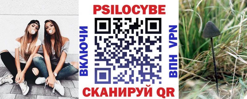 Псилоцибиновые грибы Psilocybine cubensis  дарнет шоп  Цимлянск 